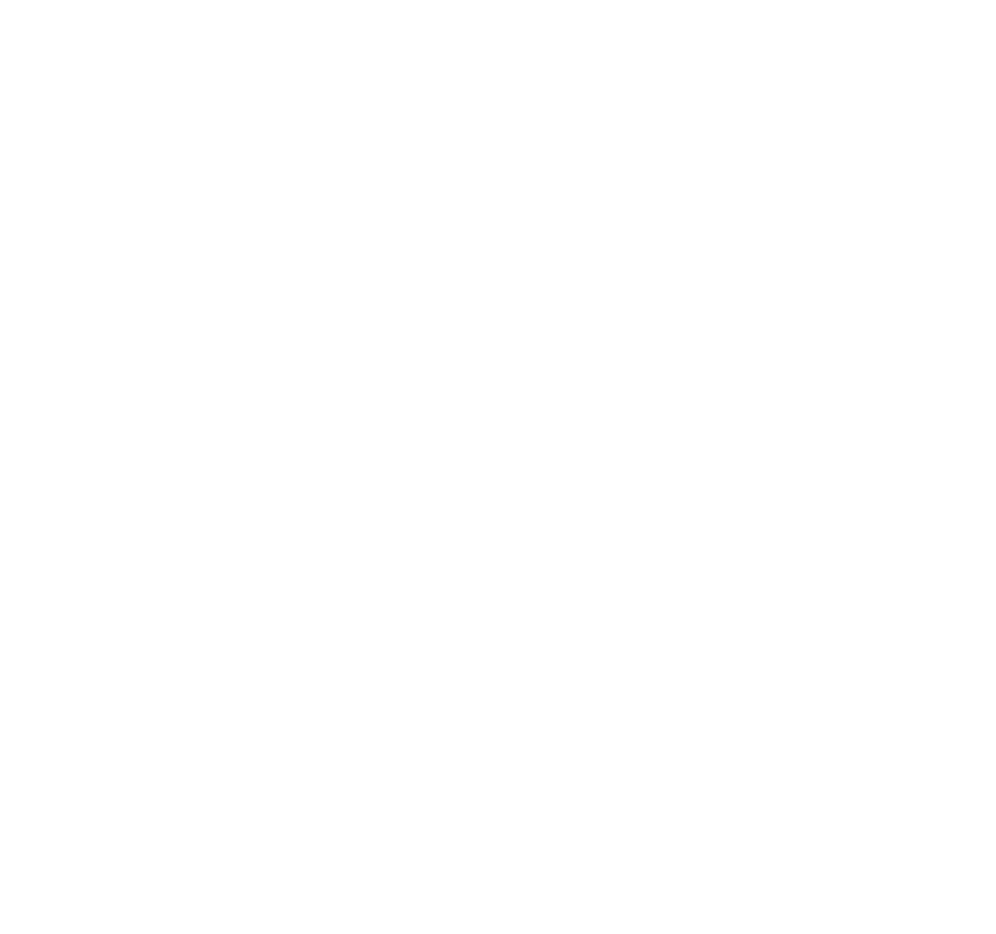 Veritas — Citizenship by Investment