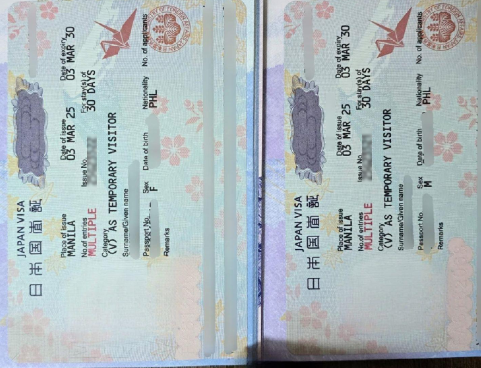 Japan Multiple Entry — approved client passport (personal details redacted)